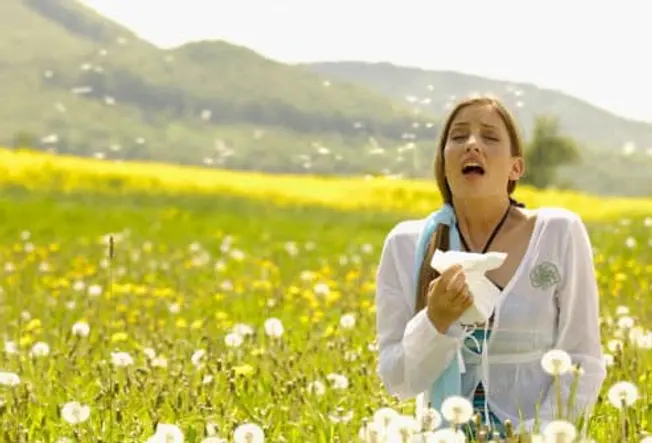 Featured image for Persistent Sneezing and Itching? Understanding Your Allergy Triggers.