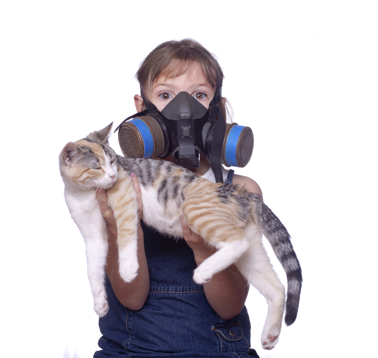 Content image for Pet Allergies Limiting Your Choices? Managing Symptoms at Home.