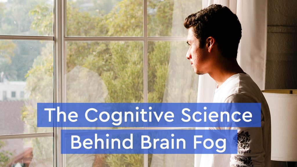Content image for Brain Fogged? Unpacking Cognitive Concerns as We Age