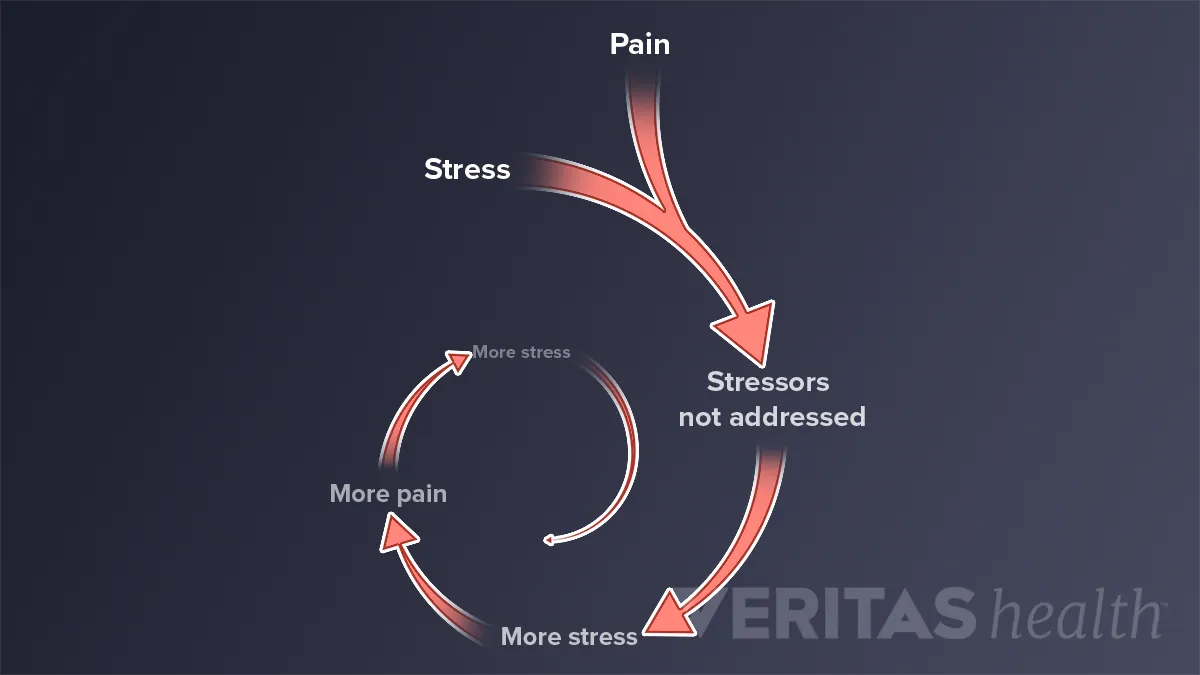 Featured image for Understanding the Link Between Stress and Persistent Back Aches