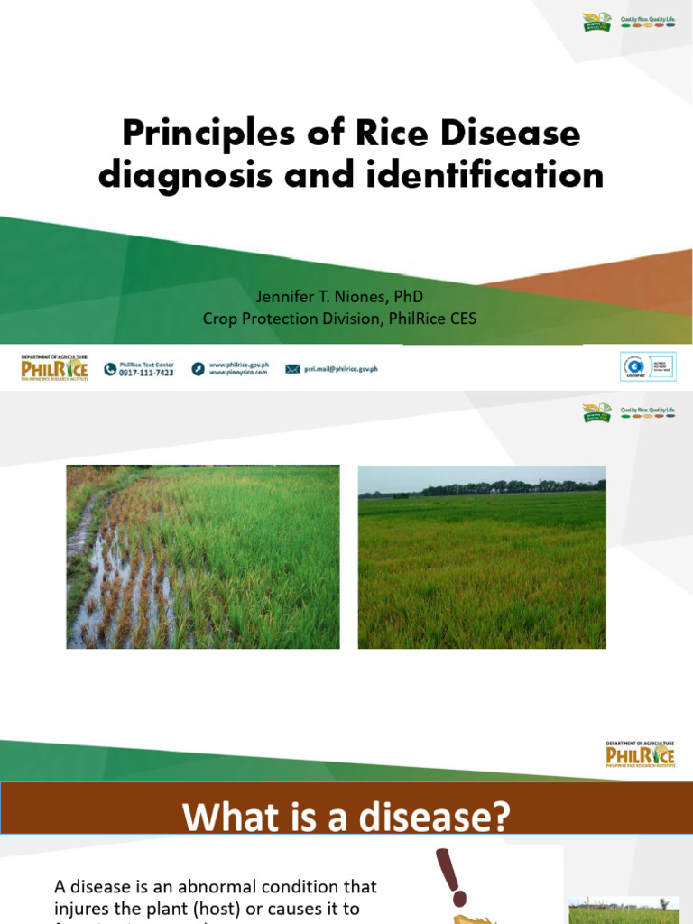Featured image for Why Early Diagnosis Matters in Long-Term Disease Management