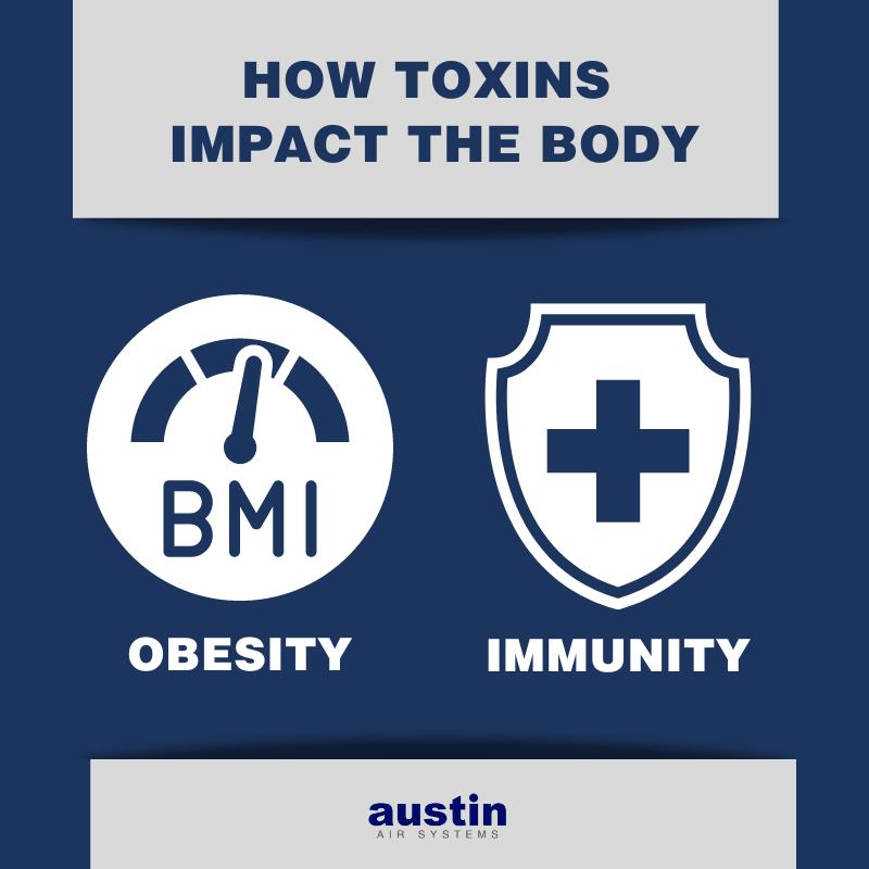 Featured image for How Toxins Accumulate in the Body and Affect Your Health