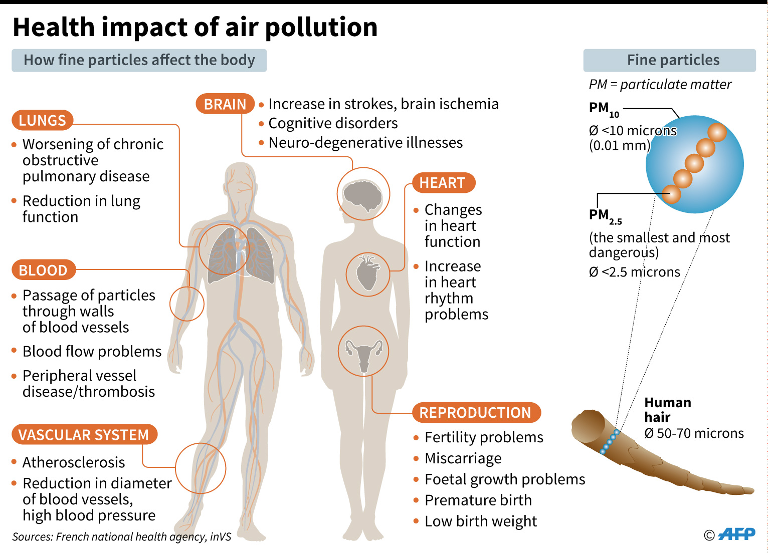 Featured image for The Impact of Air Pollution on Human Respiratory Wellness