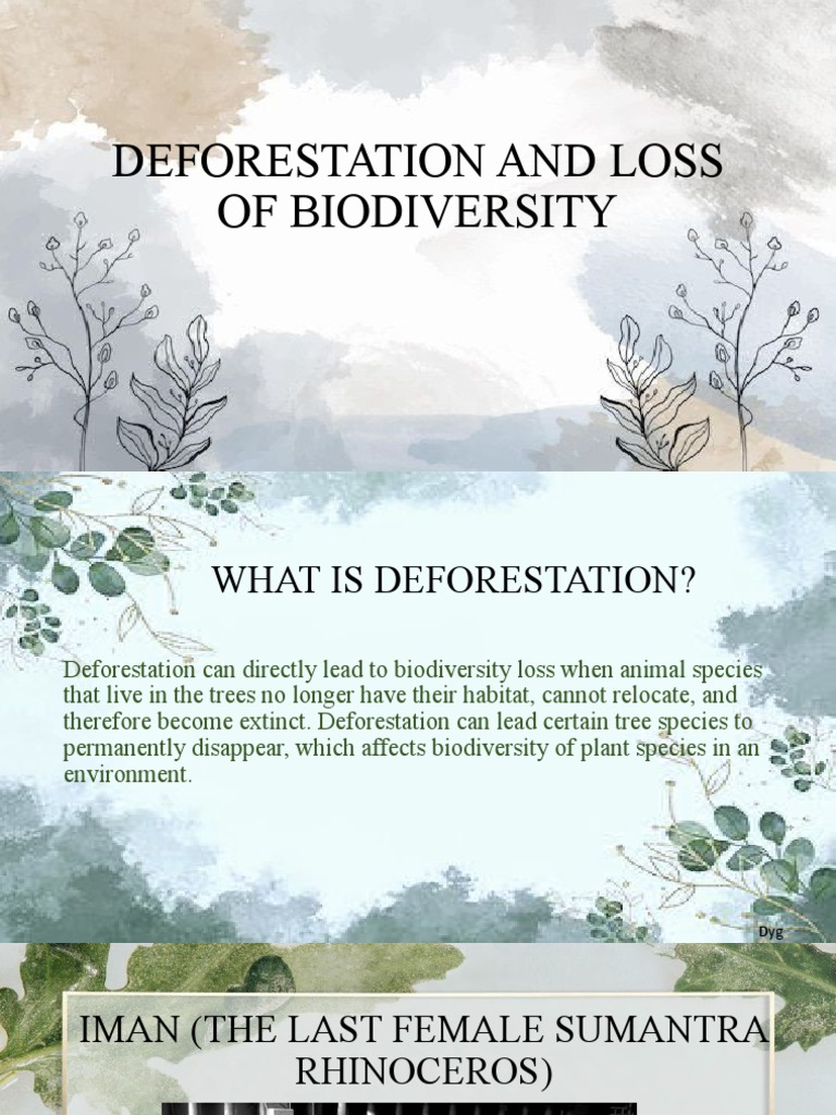 Content image for The Role of Deforestation in Biodiversity Loss Worldwide