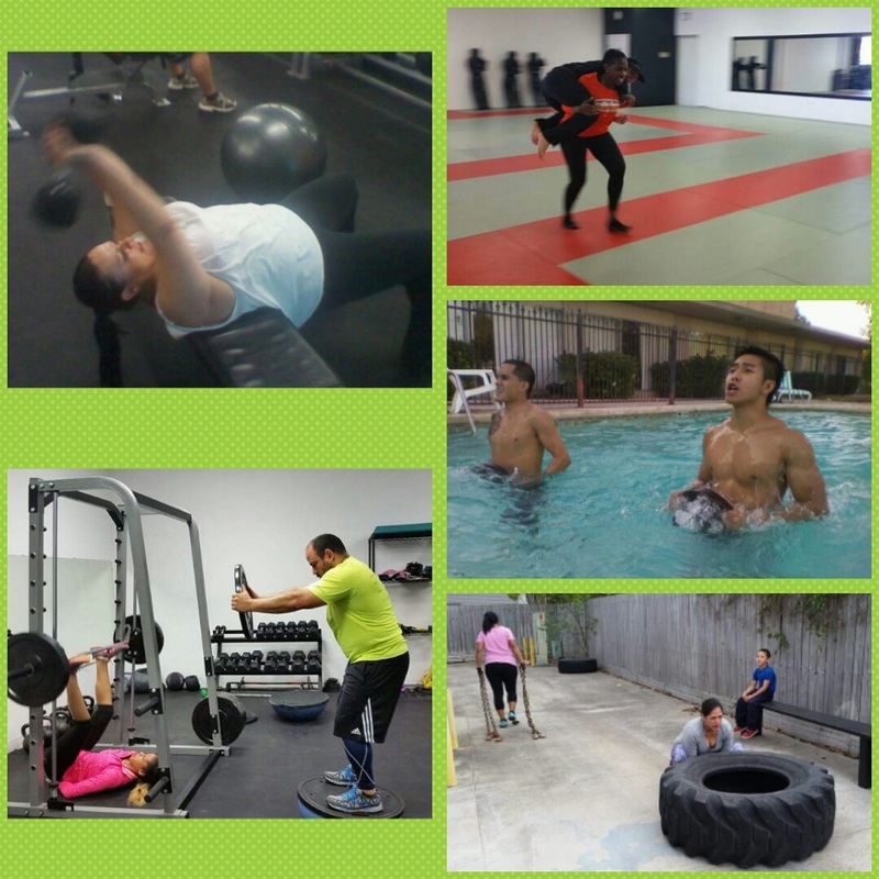 Featured image for The Science Behind Muscle Activation During Functional Training