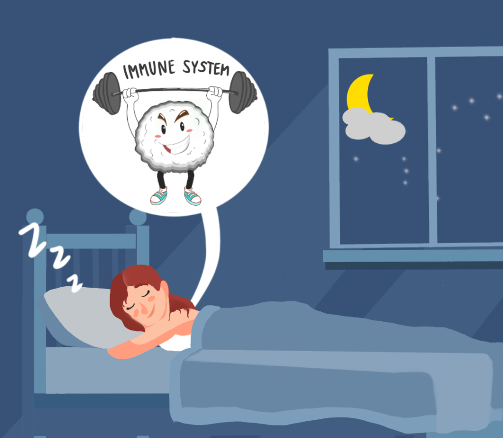 Content image for Understanding the Role of Sleep in Immune System Regulation