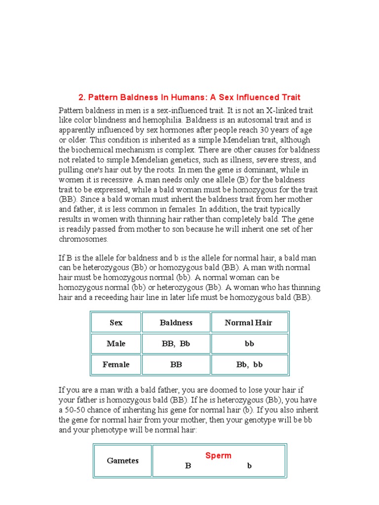 Featured image for Understanding the Role of Genetics in Pattern Baldness