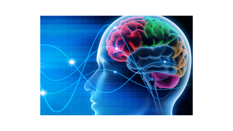 Content image for Mindful Practices Reducing Stress and Anxiety