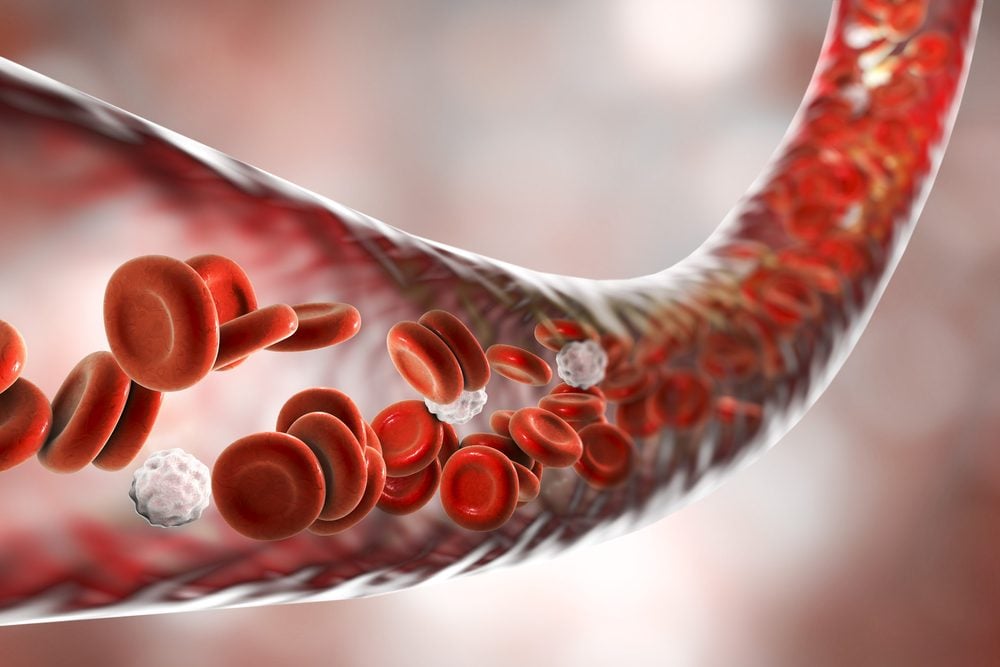 Featured image for Role of Nutrition in Maintaining Healthy Blood Vessels
