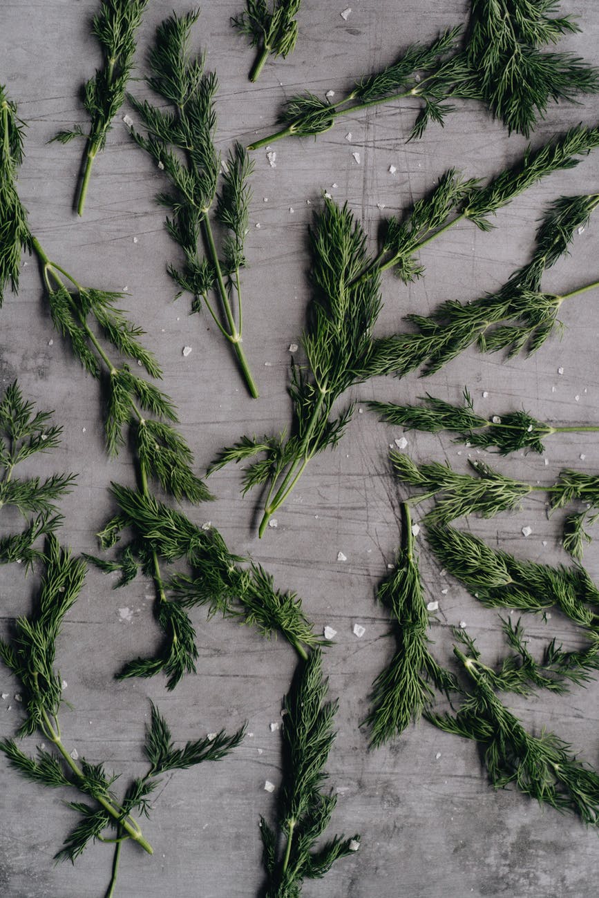 Featured image for Natural Treatments Supporting Gentle Healing Process