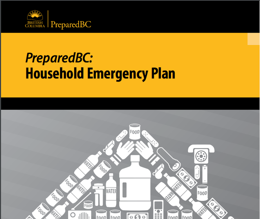 Content image for Emergency Planning Enhancing Household Medical Readiness