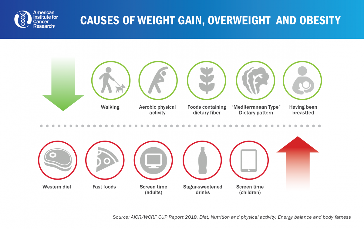 Featured image for Root Causes Contributing to Excess Weight Gain