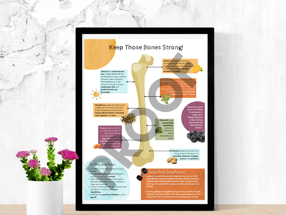 Content image for Bone Density Maintenance Through Nutrition and Exercise